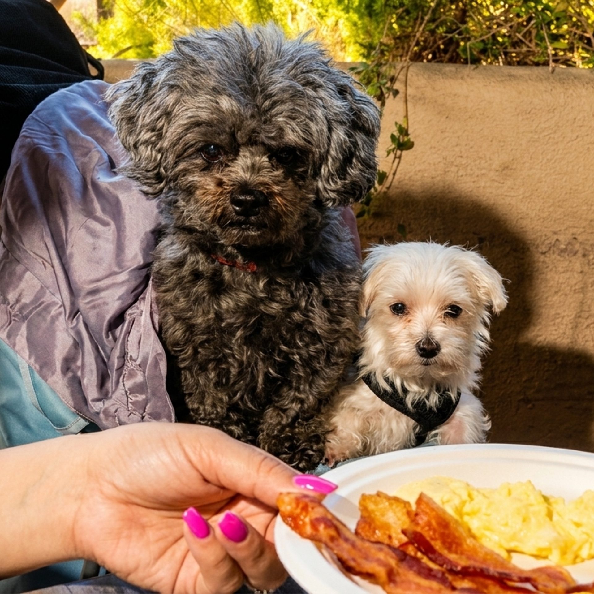 Dogs welcome. Neighbors too.